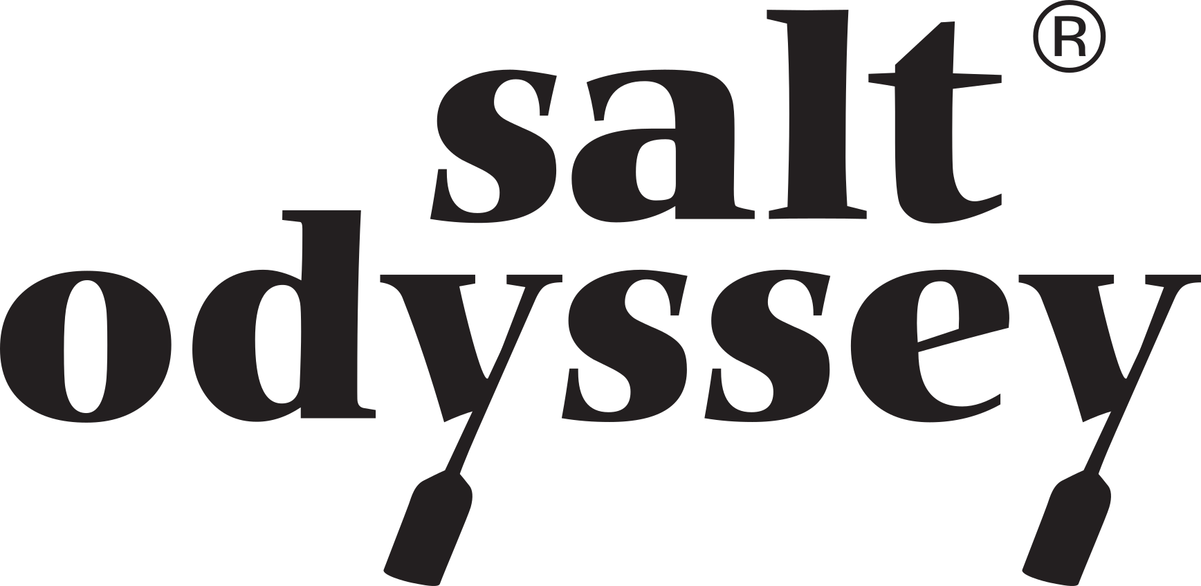 Salt Odyssey