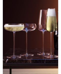 LSA Набір бокалів для шампанського Wine Culture 320 мл 2 шт.