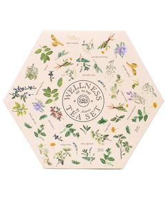 Чайний набір Оздоровчий Wellnes Tea Set Acorus 6 видів по 10 пакетиків-саше 105 г