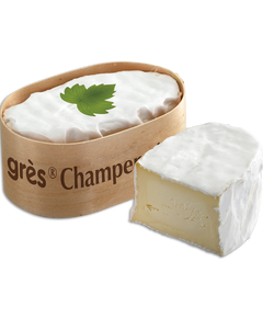 Fromi Сир з пліснявою Petit Grès Champenois 150 г