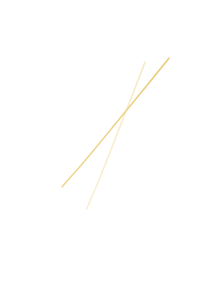 Felicetti Monograno Паста Спагетті Матова 500 г, зображення 2