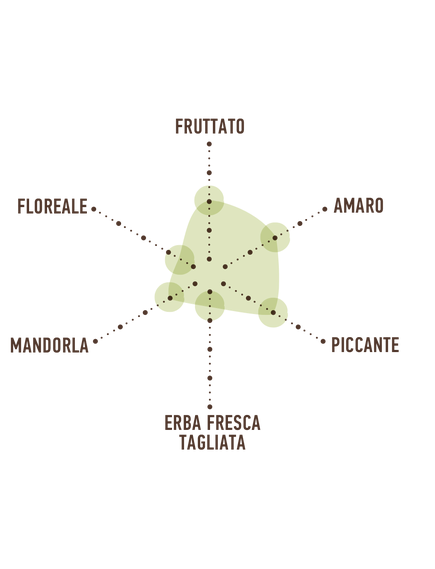 Олія оливкова Extra Virgin Costa d'Oro 250 мл, зображення 2