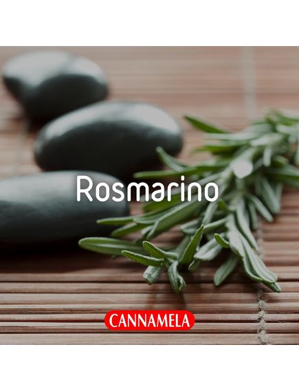 Розмарин органічний Cannamela 30 г, зображення 2