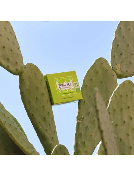 Kusmi Tea Чай зелений Імбир-Лимон органічний пакет 20шт*2 г, зображення 3