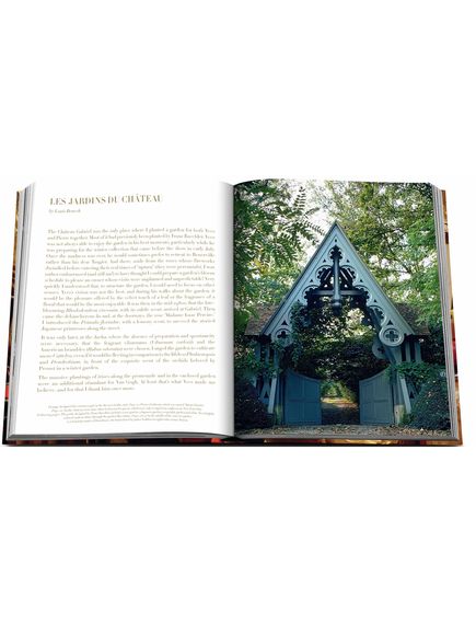 Assouline Yves Saint Laurent at Home. Книга Дім Ів Сен-Лоран, Жак Гранж, зображення 13