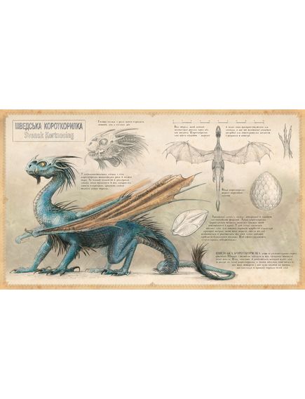 Гаррі Поттер і Келих Вогню. 4 Велике ілюстроване видання, Джоан Ролінґ, зображення 3