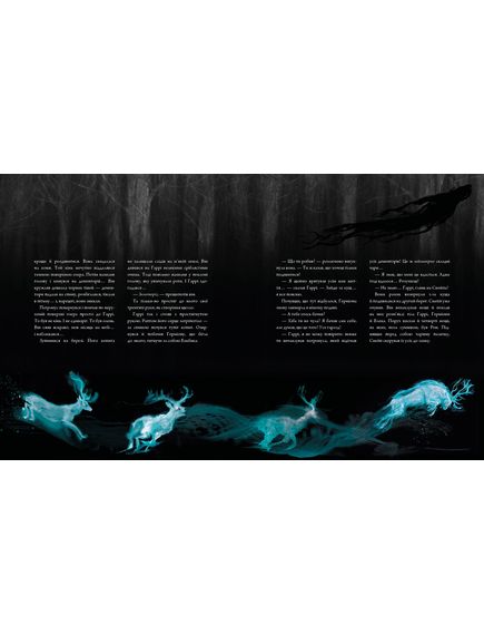 Гаррі Поттер і в’язень Азкабану. 3 Велике ілюстроване видання, Джоан Ролінґ, зображення 4