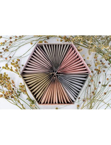 Чайний набір Оздоровчий Wellnes Tea Set Acorus 6 видів по 10 пакетиків-саше 105 г, зображення 5