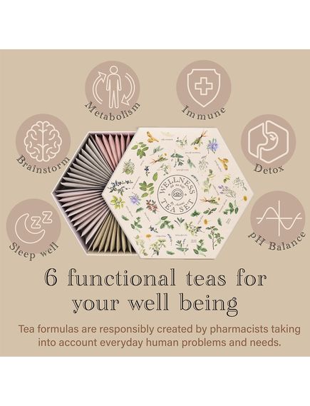 Чайний набір Оздоровчий Wellnes Tea Set Acorus 6 видів по 10 пакетиків-саше 105 г, зображення 3