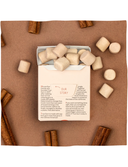 True Gum Жувальна гумка без цукру Кориця 21 г, зображення 2