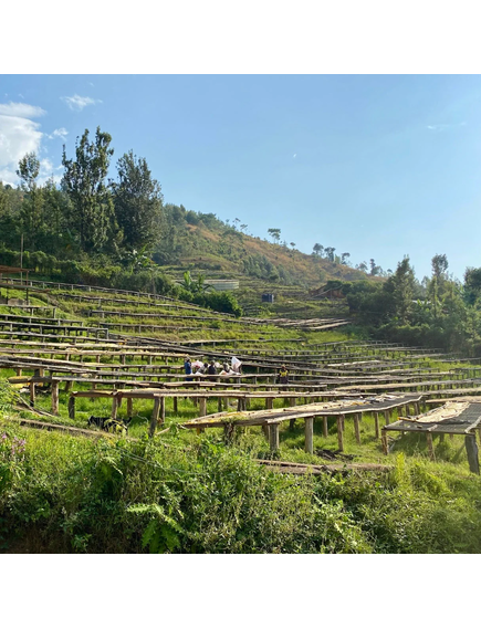 The Barn Кава зернова Махембе з Руанди для фільтру 250 г, зображення 2