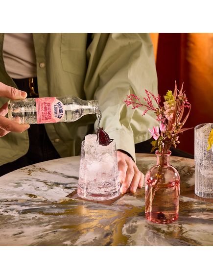 Franklin & Sons Напій Ревінь та Гібіскус Rhubarb & Hibiscus Tonic Water б/а сильногазований 200 мл, зображення 4