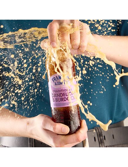 Franklin & Sons Напій Кульбаба та Реп'ях Traditional Dandelion & Burdock б/а сильгазований упаковка 12шт*275 мл, зображення 2