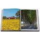 Assouline Provence Glory. Книга Прованс Слава, Франсуа Сімон, зображення 11