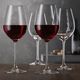 Spiegelau Набір бокалів для червоного вина Salute 550 мл 4шт., зображення 4