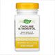 (04.07 Очікування) Choline & Inositol - 100 caps
