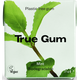 True Gum Жувальна гумка без цукру М'ята 21 г