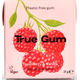 True Gum Жувальна гумка без цукру Малина-Ваніль 21 г